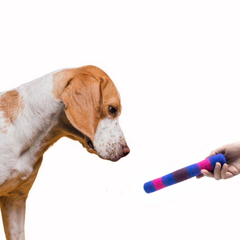 Striped Felt Kicker Toys for Dogs | Handcrafted Wool Chew Toys | Interactive Dog Toys | Fetch Toys for Pets | Gifts for Dogs