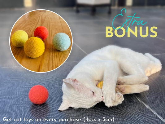50cm Wool Felt Pumpkin Cat Cave | Felted Green Cat Bed | Kitty Bed | Felt Cat House | Fair Trade | 100% Wool and Handmade